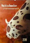 Nacktschnecken - Unterwasserwelt 2018 (Wandkalender 2018 DIN A2 hoch)