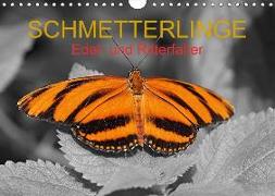 Schmetterlinge - Edel- und Ritterfalter (Wandkalender 2018 DIN A4 quer)