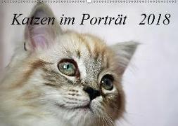 Katzen im Porträt / Geburtstagskalender (Wandkalender 2018 DIN A2 quer)