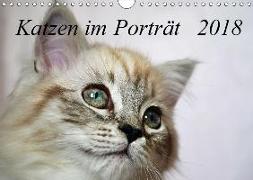 Katzen im Porträt / Geburtstagskalender (Wandkalender 2018 DIN A4 quer)