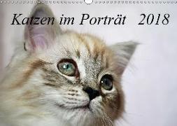 Katzen im Porträt / Geburtstagskalender (Wandkalender 2018 DIN A3 quer)