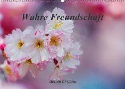Wahre Freundschaft / AT-Version (Wandkalender 2018 DIN A2 quer)