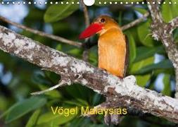 Vögel Malaysias - Birds of Malaysia (Wandkalender 2018 DIN A4 quer)