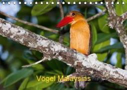 Vögel Malaysias - Birds of Malaysia (Tischkalender 2018 DIN A5 quer)