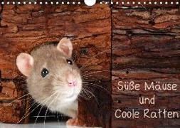 Süße Mäuse und Coole Ratten (Wandkalender 2018 DIN A4 quer)