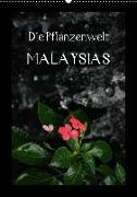 Die Pflanzwenwelt Malaysias (Wandkalender 2018 DIN A2 hoch)