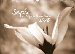 Sepia - Nostalgie in Brauntönen (Wandkalender 2018 DIN A3 quer)