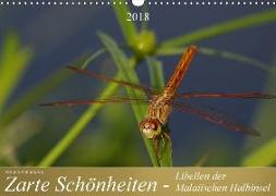 Zarte Schönheiten - Libellen der Malaiischen Halbinsel (Wandkalender 2018 DIN A3 quer)