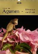 Agamen - Echsen aus der UrzeitCH-Version (Wandkalender 2018 DIN A3 hoch)