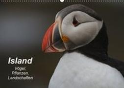 Island: Vögel, Pflanzen, Landschaften (Wandkalender 2018 DIN A2 quer)