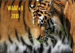 Wildlife II / 2018 (Wandkalender 2018 DIN A2 quer)