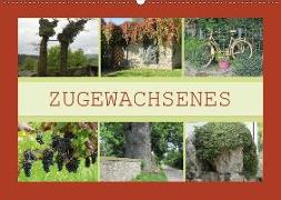 Zugewachsenes (Wandkalender 2018 DIN A2 quer)