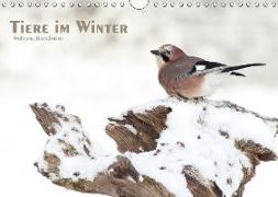 Tiere im Winter (Wandkalender 2018 DIN A4 quer)