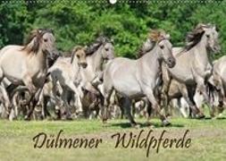 Dülmener Wildpferde (Wandkalender 2018 DIN A2 quer)