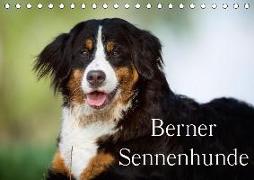 Berner Sennenhunde (Tischkalender 2018 DIN A5 quer)