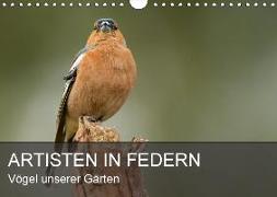 Artisten in Federn - Vögel unserer Gärten (Wandkalender 2018 DIN A4 quer)