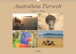 Australiens Tierwelt - Auge in Auge (Wandkalender 2018 DIN A3 quer)