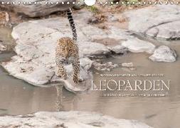 Emotionale Momente: Leoparden (Wandkalender 2018 DIN A4 quer)