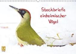 Steckbriefe einheimischer Vögel (Wandkalender 2018 DIN A3 quer)