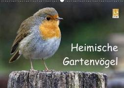 Heimische Gartenvögel (Wandkalender 2018 DIN A2 quer)