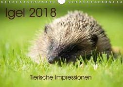 Igel 2018. Tierische Impressionen (Wandkalender 2018 DIN A4 quer) Dieser erfolgreiche Kalender wurde dieses Jahr mit gleichen Bildern und aktualisiertem Kalendarium wiederveröffentlicht