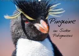 Pinguine im Süden Patagoniens (Wandkalender 2018 DIN A2 quer)