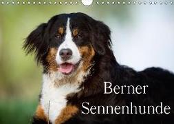 Berner Sennenhunde (Wandkalender 2018 DIN A4 quer)