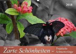 Zarte Schönheiten - Tropische SchmetterlingeCH-Version (Wandkalender 2018 DIN A2 quer)
