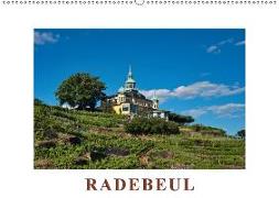 Radebeul / Geburtstagskalender (Wandkalender 2018 DIN A2 quer)
