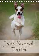 Jack Russell Terrier (Tischkalender 2018 DIN A5 hoch)