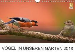 Vögel in unseren Gärten 2018 (Wandkalender 2018 DIN A4 quer)