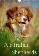 Australian Shepherds (Wandkalender 2018 DIN A4 hoch)