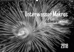 Unterwasser Makros - schwarz weiss 2018 (Wandkalender 2018 DIN A2 quer)