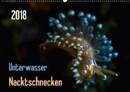 Unterwasser - Nacktschnecken 2018 (Wandkalender 2018 DIN A2 quer)