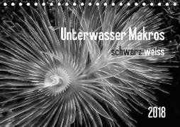 Unterwasser Makros - schwarz weiss 2018 (Tischkalender 2018 DIN A5 quer)