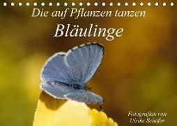 Die auf Pflanzen tanzen: Bläulinge (Tischkalender 2018 DIN A5 quer)