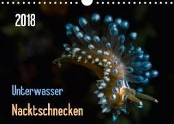Unterwasser - Nacktschnecken 2018 (Wandkalender 2018 DIN A4 quer)