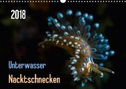 Unterwasser - Nacktschnecken 2018 (Wandkalender 2018 DIN A3 quer)