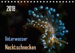 Unterwasser - Nacktschnecken 2018 (Tischkalender 2018 DIN A5 quer)