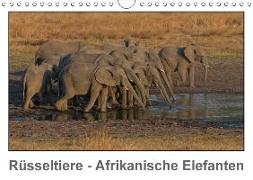 Rüsseltiere - Afrikanische Elefanten (Wandkalender 2018 DIN A4 quer)