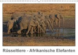 Rüsseltiere - Afrikanische Elefanten (Wandkalender 2018 DIN A3 quer)