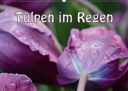 Tulpen im Regen (Wandkalender 2018 DIN A2 quer)