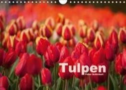 Tulpen (Wandkalender 2018 DIN A4 quer) Dieser erfolgreiche Kalender wurde dieses Jahr mit gleichen Bildern und aktualisiertem Kalendarium wiederveröffentlicht
