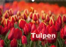Tulpen (Wandkalender 2018 DIN A3 quer) Dieser erfolgreiche Kalender wurde dieses Jahr mit gleichen Bildern und aktualisiertem Kalendarium wiederveröffentlicht