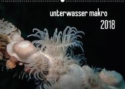 unterwasser makro 2018 (Wandkalender 2018 DIN A2 quer)