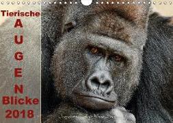 Tierische Augen-Blicke 2018 (Wandkalender 2018 DIN A4 quer)