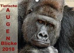 Tierische Augen-Blicke 2018 (Wandkalender 2018 DIN A3 quer)