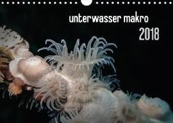 unterwasser makro 2018 (Wandkalender 2018 DIN A4 quer)