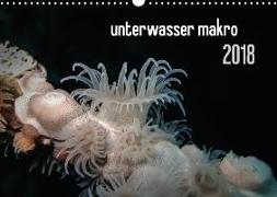 unterwasser makro 2018 (Wandkalender 2018 DIN A3 quer)