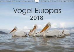 Vögel Europas 2018 (Wandkalender 2018 DIN A4 quer)